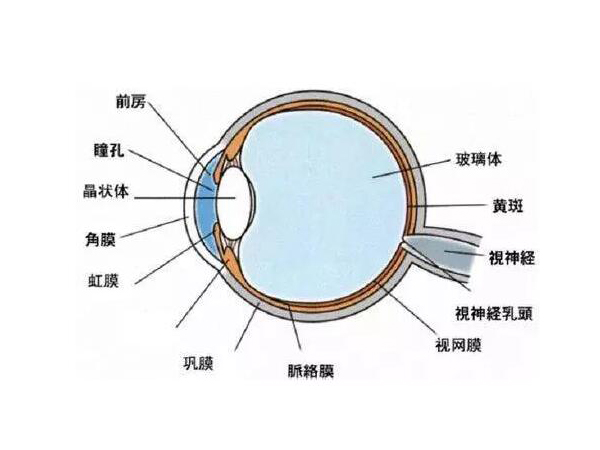 小心！高溫性眼灼傷