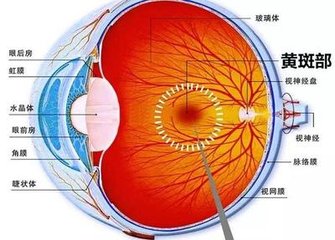 【科普】老年性黃斑變性可以治好嗎？